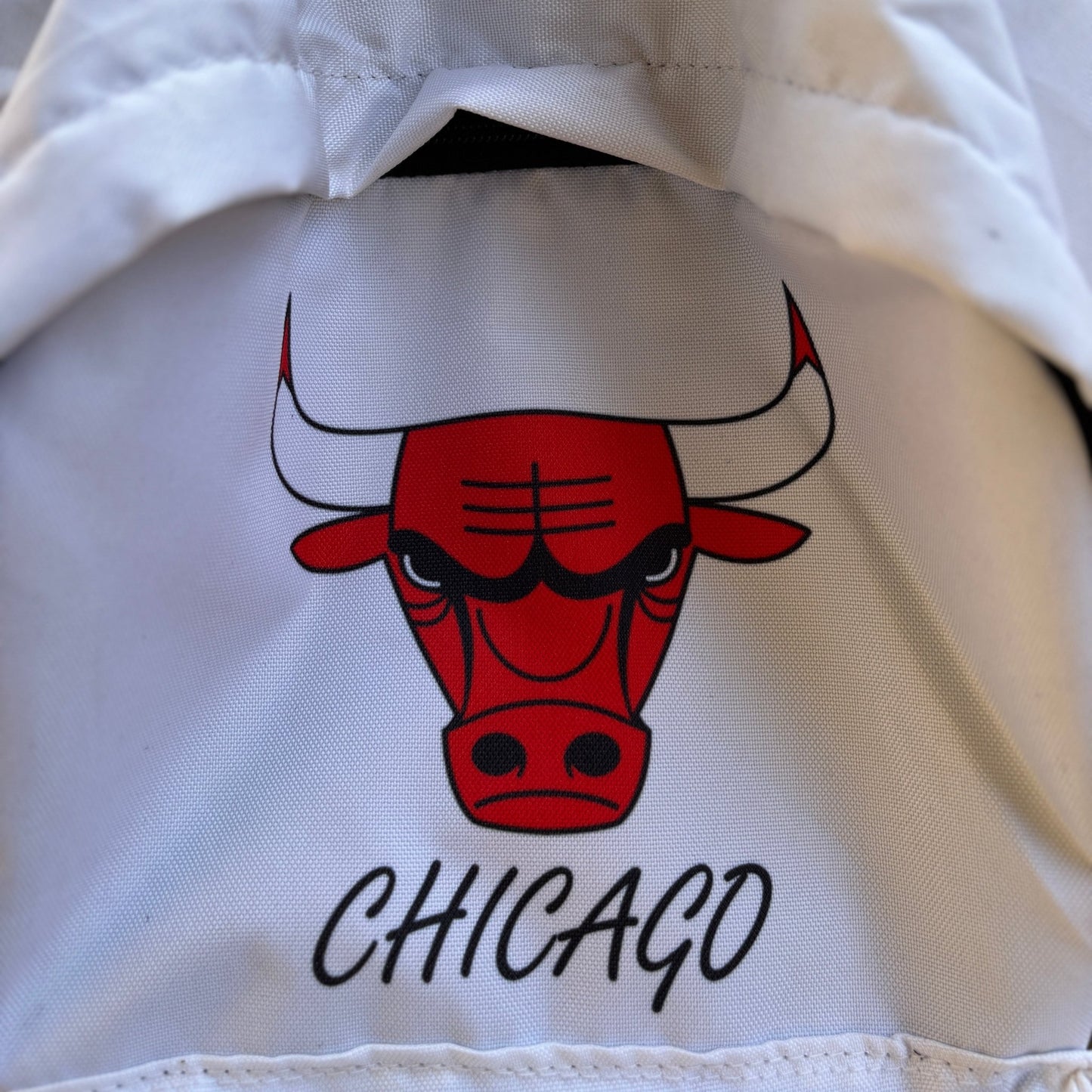 Chicago Allover Printed Backpack - BREACHIT