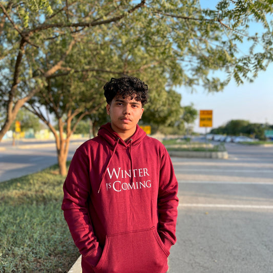 H103 Winter Is Coming Unisex Hoodie - BREACHIT